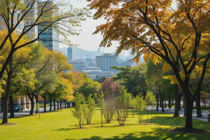 The Ultimate Guide to Choosing the Perfect Tree Species for Your Landscape Needs